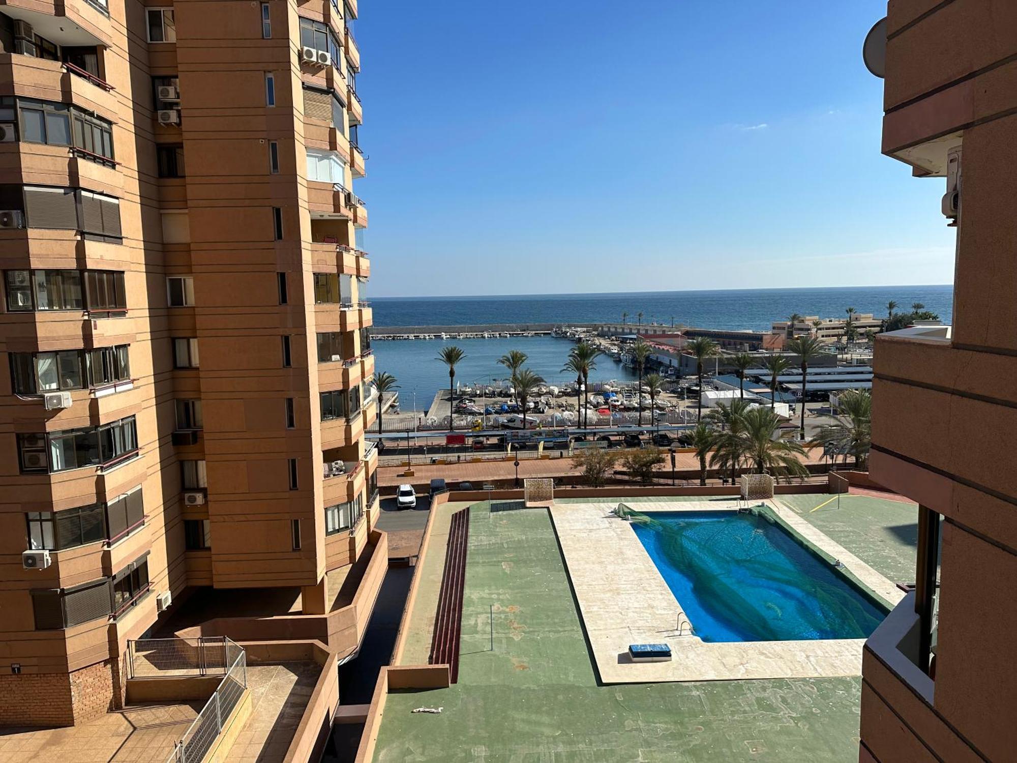 Palmeras * Fuengirola